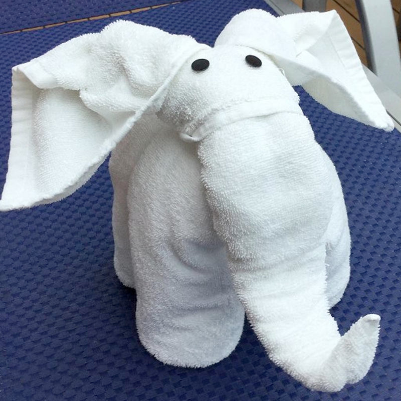 Yes, it's true! Towel Origami lessons!